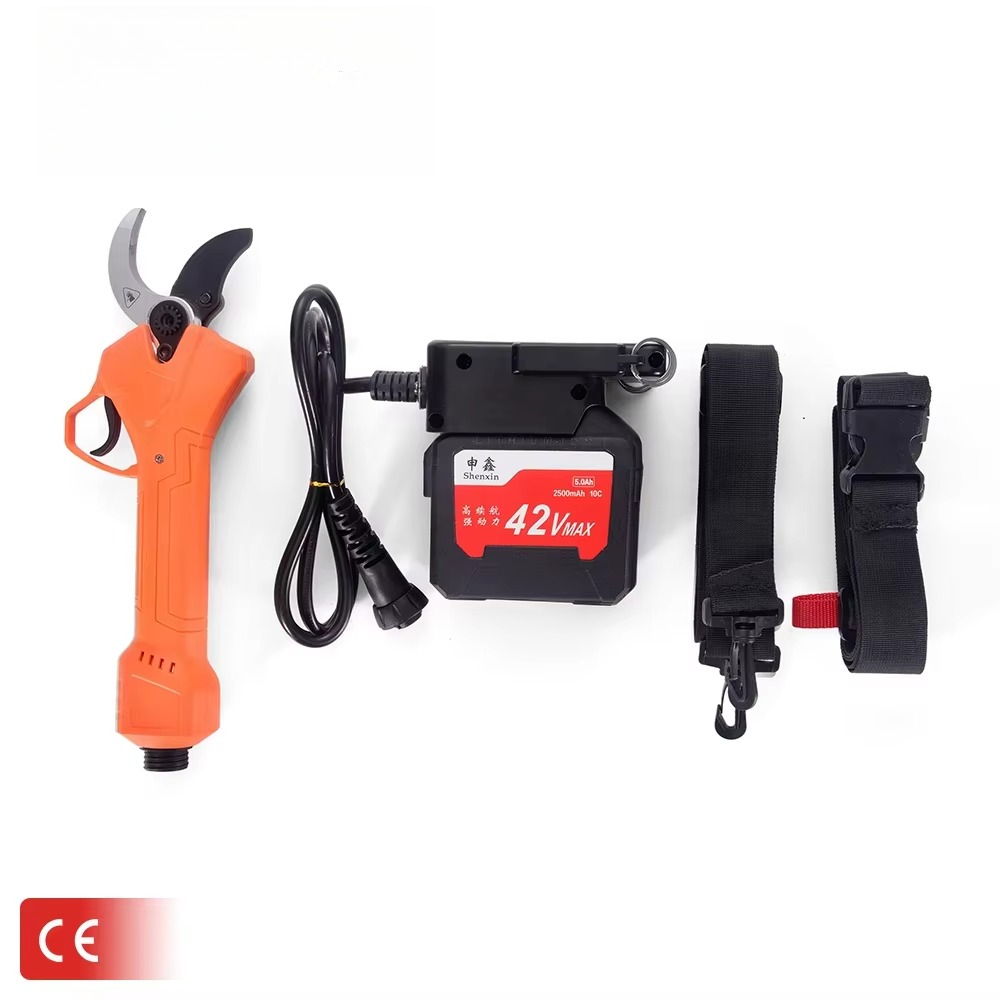 Hot Sale 42V Bodypack Electric - Power Tools Battery ulasan dan harga