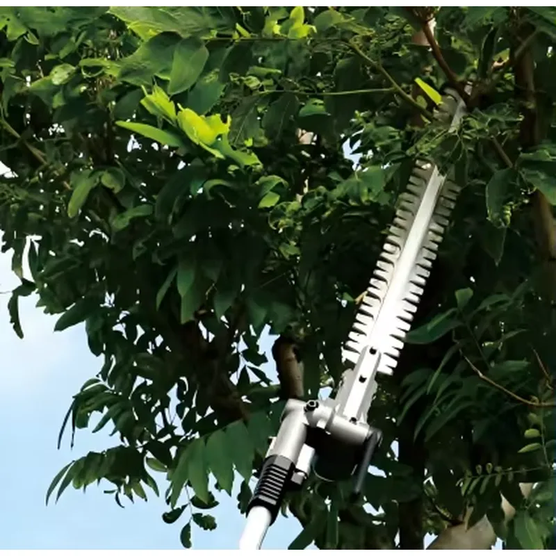 DongCheng Battery-Powered Pole - Power Tools Dongcheng ulasan dan harga